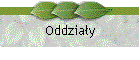 Oddziay