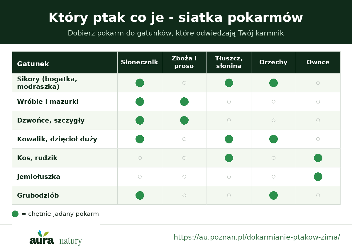Siatka: który ptak je słonecznik, zboża, tłuszcz, orzechy i owoce