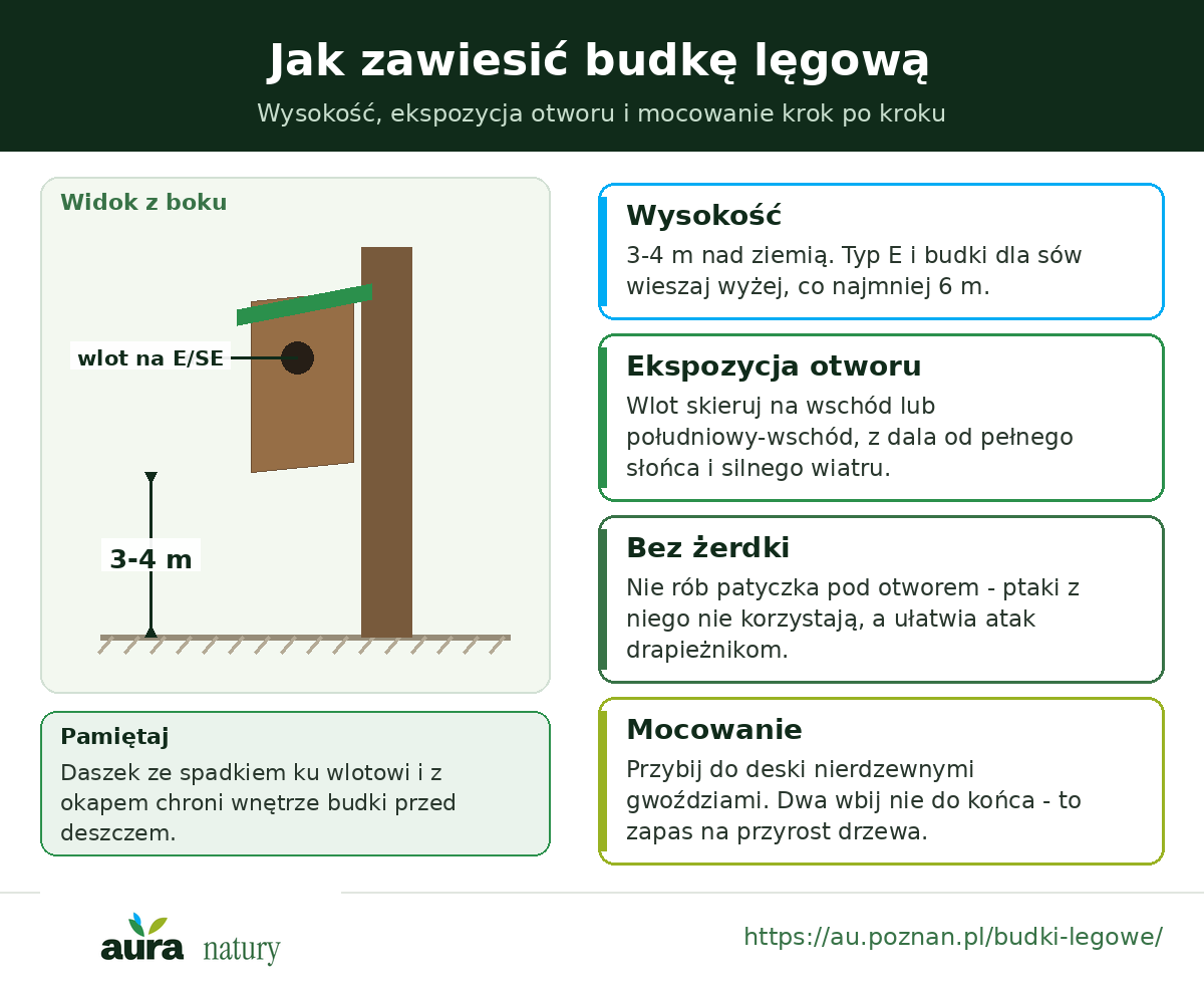 Jak zawiesić budkę lęgową: wysokość 3-4 m, wlot na wschód lub południowy-wschód, bez żerdki