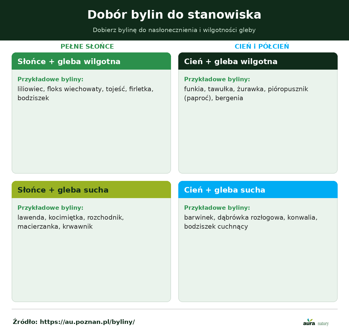 Dobór bylin do stanowiska - macierz nasłonecznienia i wilgotności gleby z przykładami gatunków na słońce suche, słońce wilgotne, cień suchy i cień wilgotny