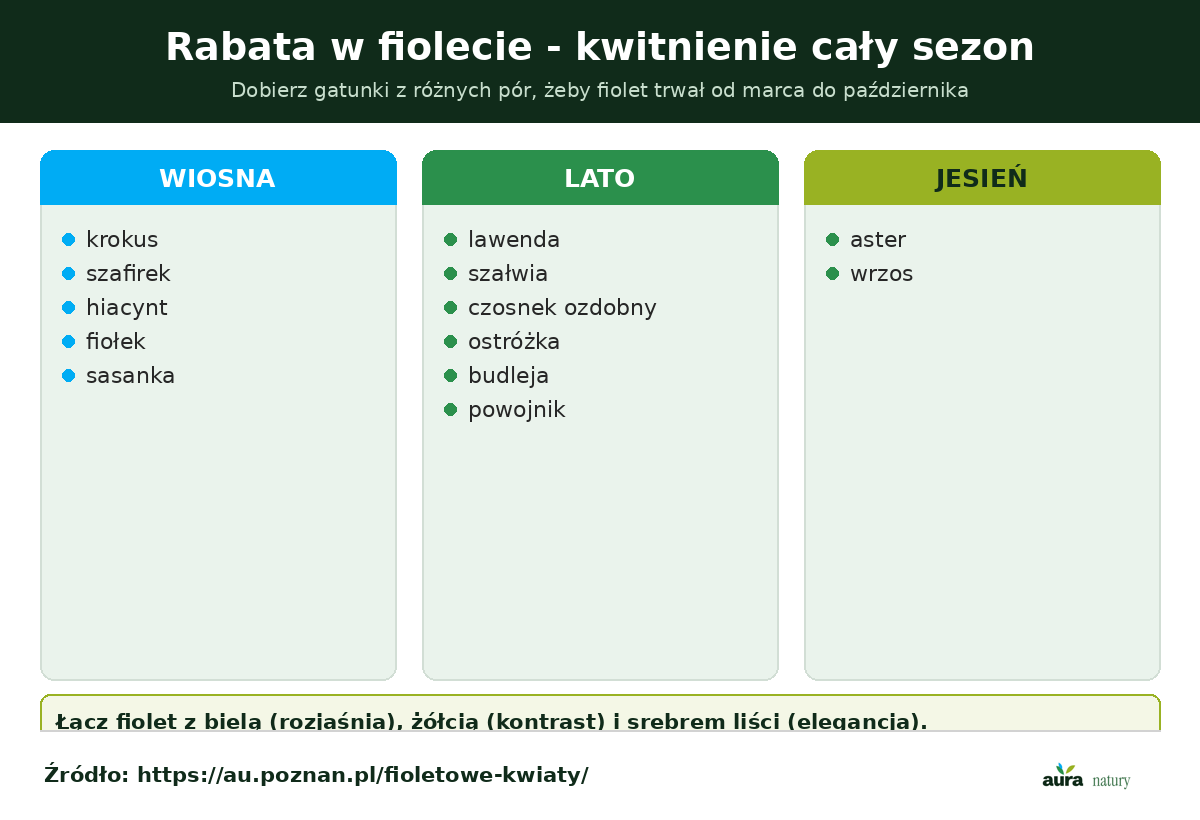 Rabata w fiolecie - ciągłość kwitnienia fioletowych kwiatów od marca do października, wiosną krokusy, latem lawenda i szałwia, jesienią astry