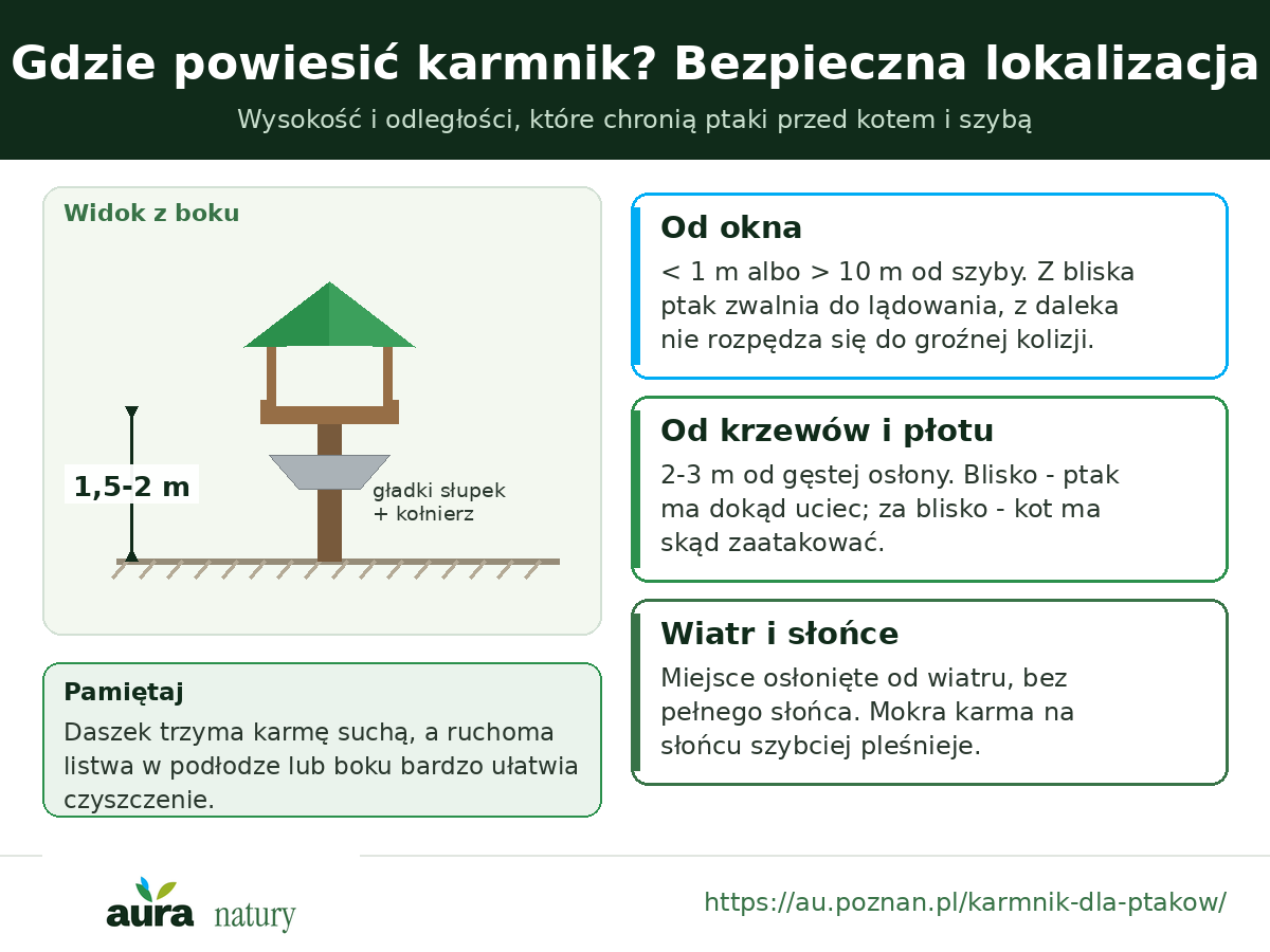 Gdzie powiesić karmnik: wysokość 1,5-2 m, 2-3 m od osłony, mniej niż 1 m lub ponad 10 m od okna