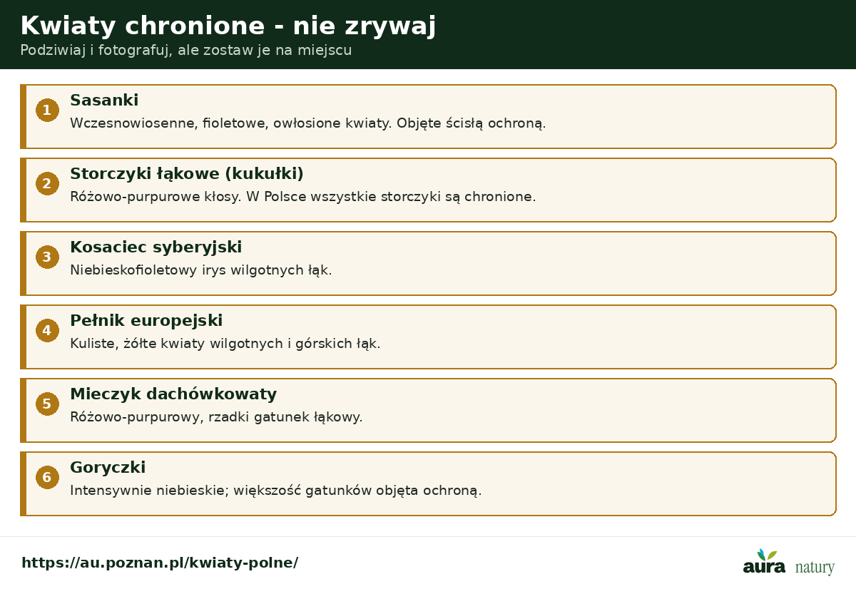 Kwiaty chronione - sasanki, storczyki łąkowe (kukułki), kosaciec syberyjski, pełnik europejski, mieczyk dachówkowaty, goryczki - nie zrywaj
