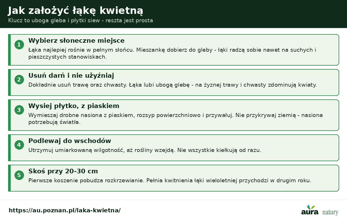 Jak założyć łąkę kwietną - słoneczne miejsce, usunięcie darni i uboga gleba, płytki siew nasion z piaskiem bez przykrywania ziemią, podlewanie do wschodów, pierwsze koszenie przy 20-30 cm