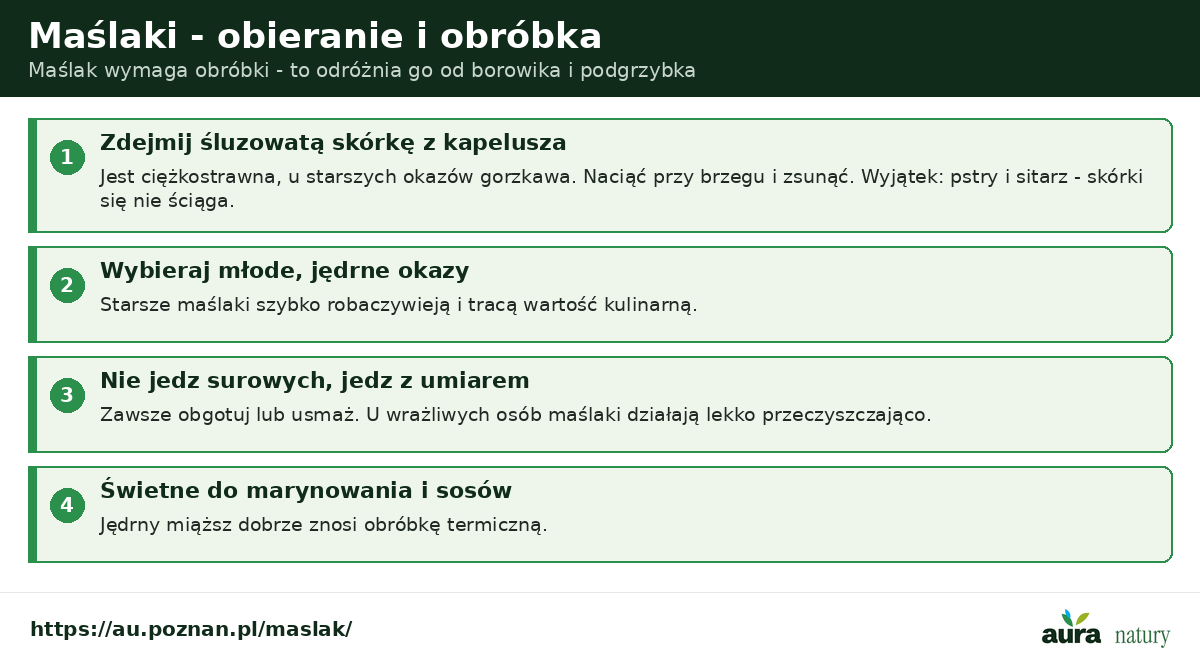 Maślaki - obieranie i obróbka: zdejmij śluzowatą skórkę, wybieraj młode okazy, nie jedz surowych, świetne do marynowania