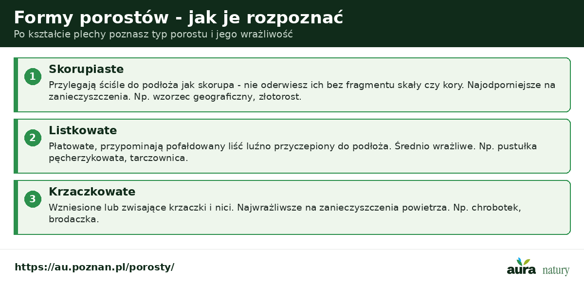 Formy porostów - skorupiaste przylegające do podłoża, listkowate przypominające pofałdowany liść, krzaczkowate wzniesione lub zwisające jak chrobotek i brodaczka