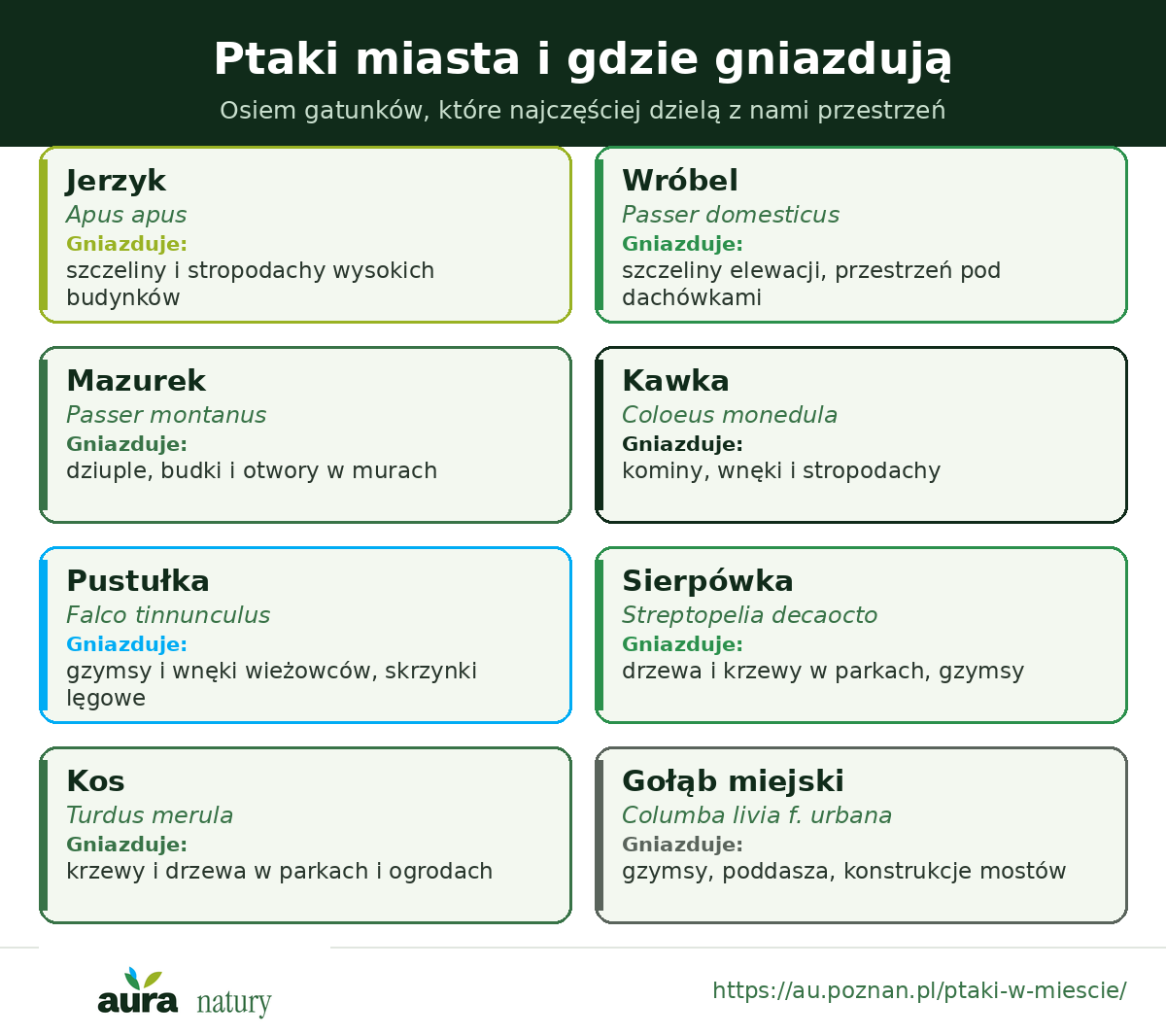 Osiem ptaków miejskich i miejsca ich gniazdowania - jerzyk, wróbel, mazurek, kawka, pustułka, sierpówka, kos i gołąb miejski