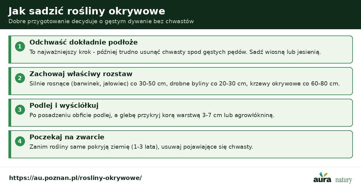 Jak sadzić rośliny okrywowe - odchwaszczenie podłoża, właściwy rozstaw 20-80 cm zależnie od gatunku, podlanie i ściółkowanie korą lub agrowłókniną, cierpliwość do zwarcia