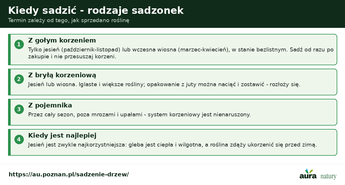 Kiedy sadzić drzewa i krzewy - goły korzeń jesień lub wczesna wiosna, bryła korzeniowa jesień lub wiosna, pojemnik cały sezon, jesień najlepsza