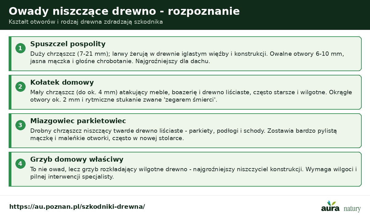 Owady niszczące drewno - spuszczel pospolity w drewnie iglastym więźby, kołatek domowy w meblach i drewnie liściastym, miazgowiec parkietowiec w parkietach, grzyb domowy w wilgotnym drewnie