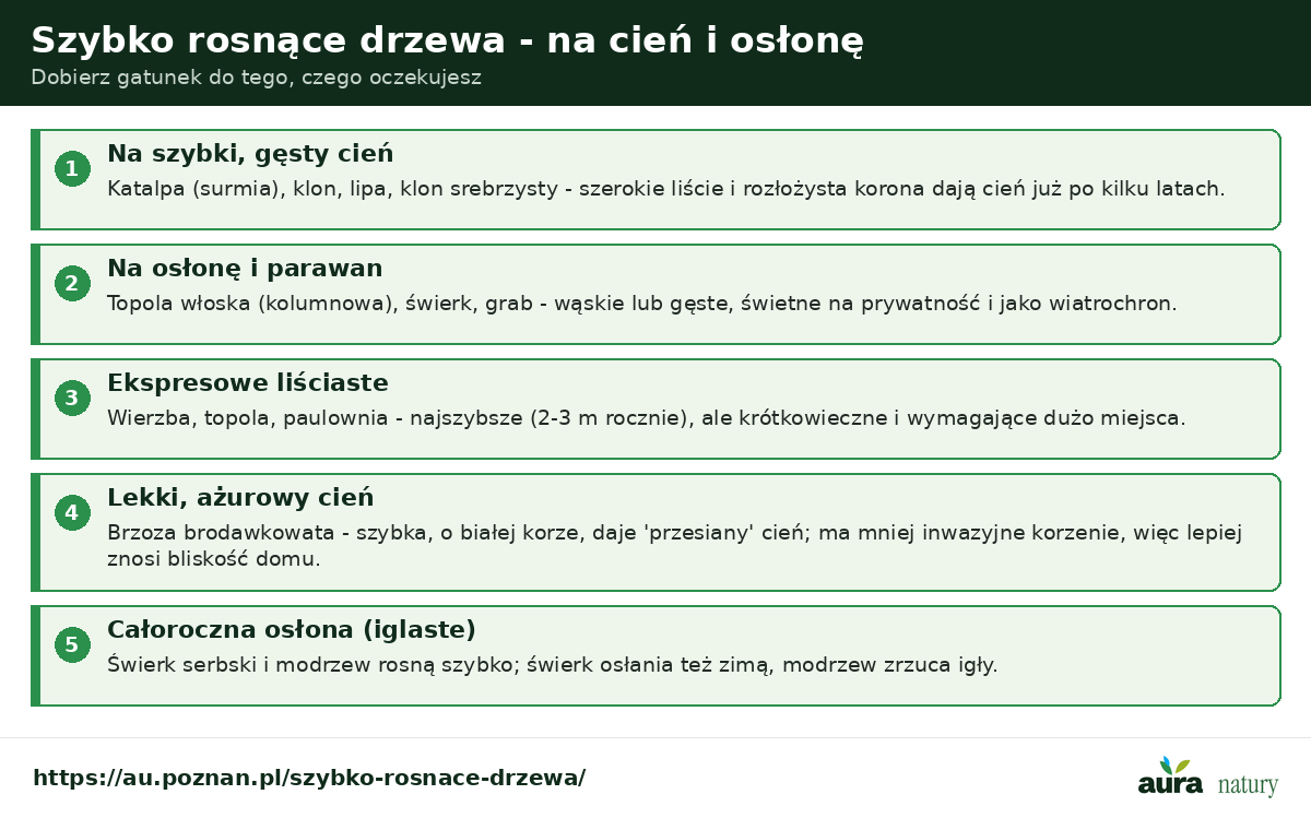 Szybko rosnące drzewa na cień i osłonę - na cień katalpa klon lipa, na osłonę topola włoska świerk grab, ekspresowe wierzba topola paulownia, ażurowy cień brzoza, iglaste świerk serbski modrzew