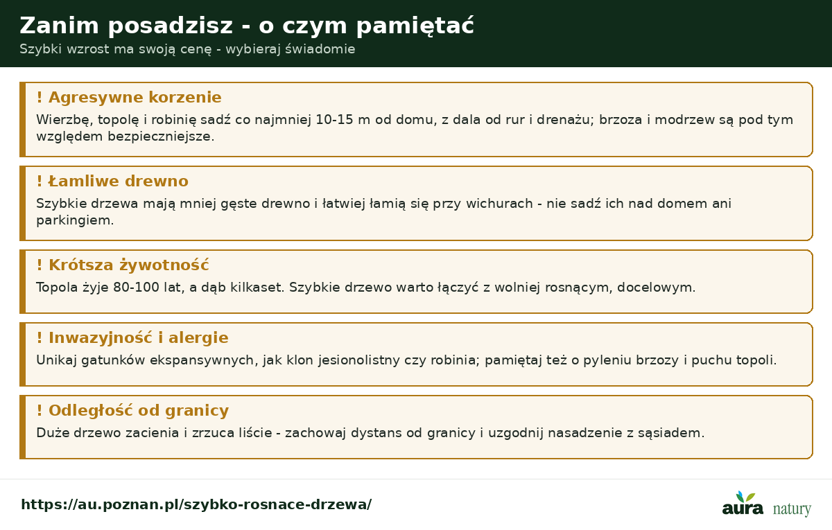 Szybko rosnące drzewa - o czym pamiętać: agresywne korzenie z dala od domu, łamliwe drewno, krótsza żywotność, inwazyjność i alergie, odległość od granicy działki