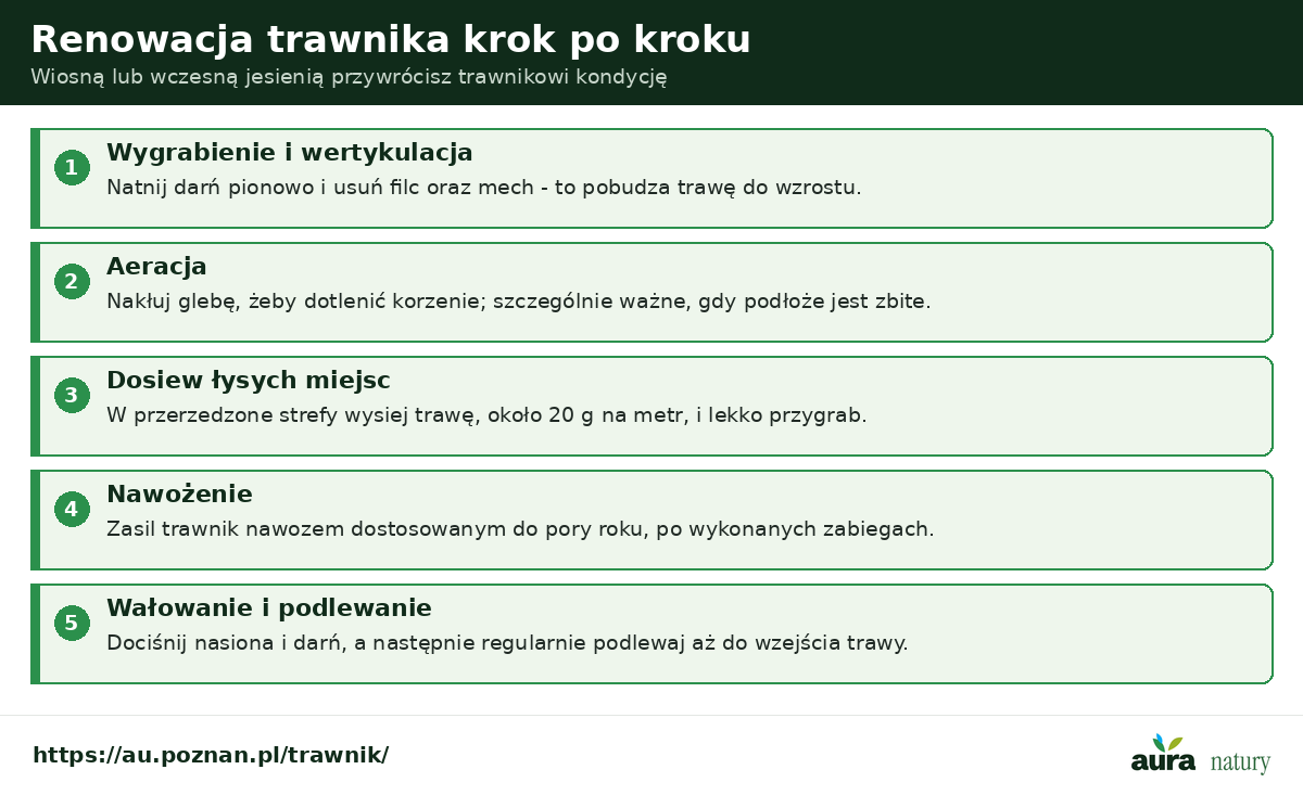 Renowacja trawnika krok po kroku - wertykulacja i usunięcie filcu, aeracja, dosiew łysych miejsc, nawożenie, wałowanie i podlewanie