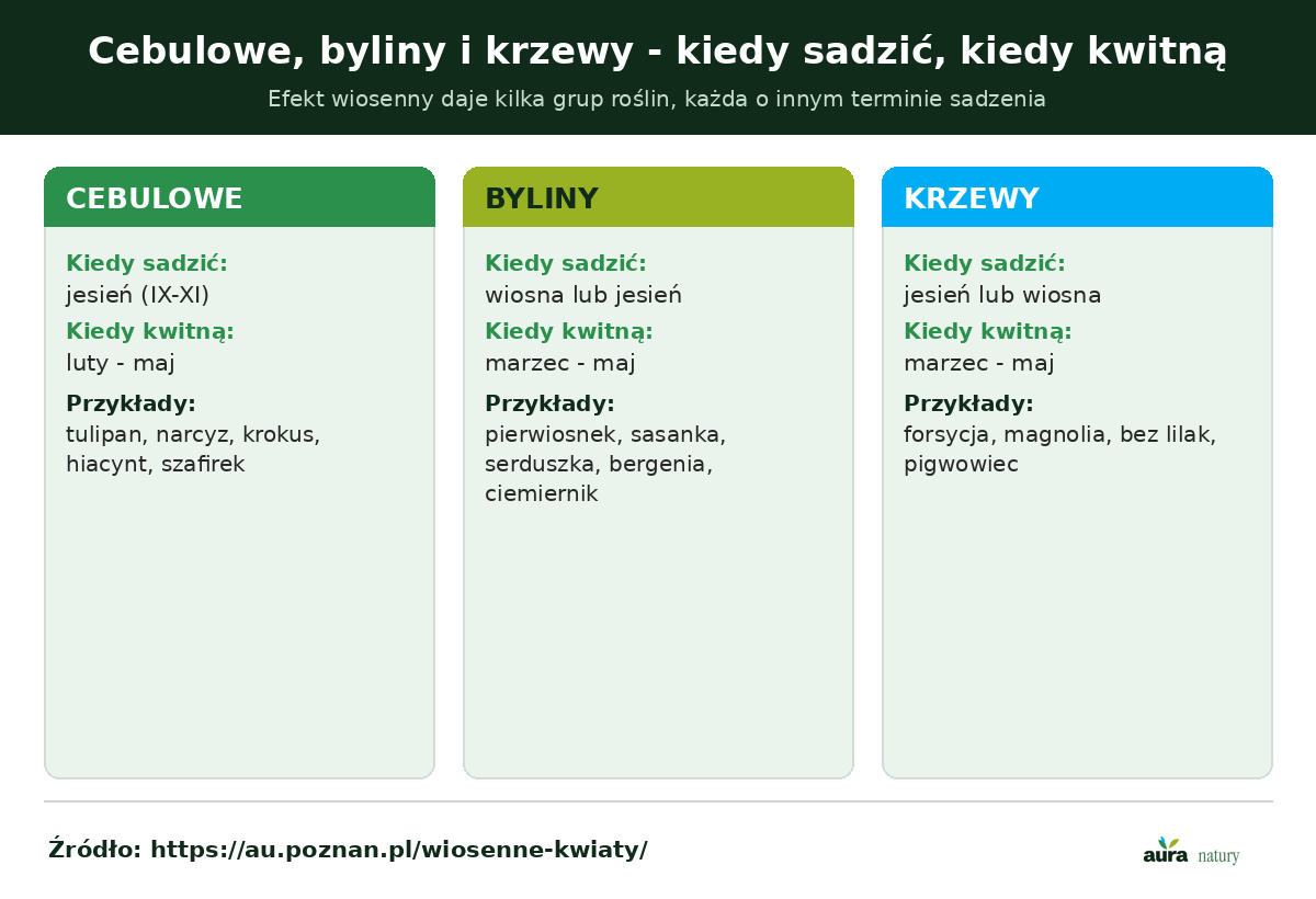 Wiosenne kwiaty w trzech grupach - cebulowe, byliny i krzewy, kiedy się je sadzi i kiedy kwitną