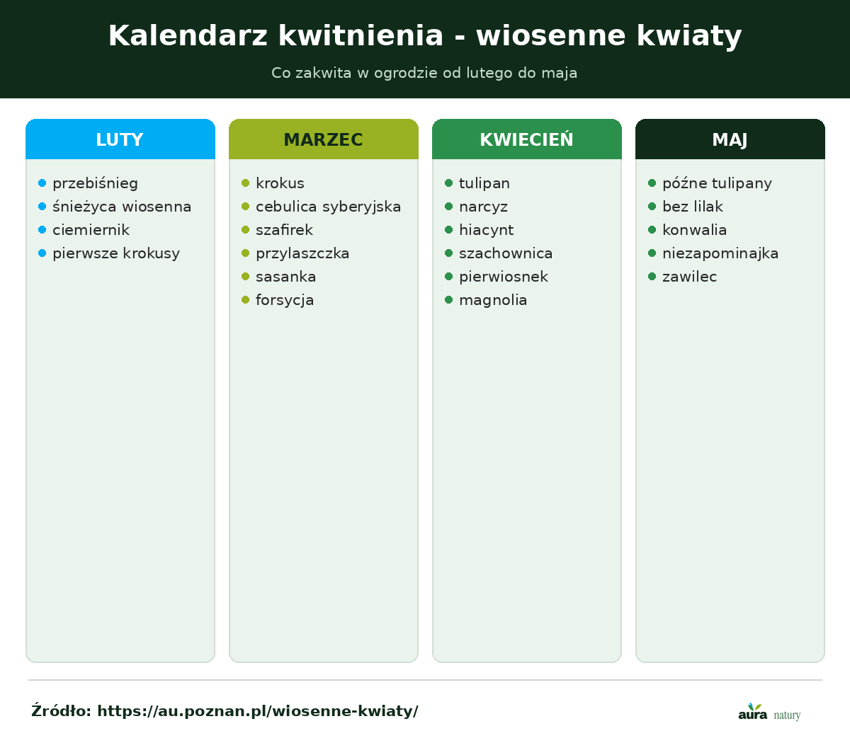 Kalendarz kwitnienia wiosennych kwiatów od lutego do maja - przebiśniegi i krokusy, cebulice i szafirki, tulipany i narcyzy, bez i konwalie