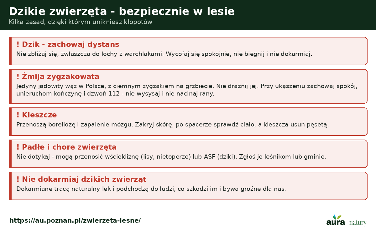 Bezpieczeństwo w lesie - dzik zachowaj dystans, żmija zygzakowata pierwsza pomoc, kleszcze, padłe i chore zwierzęta nie dotykaj, nie dokarmiaj dzikich zwierząt