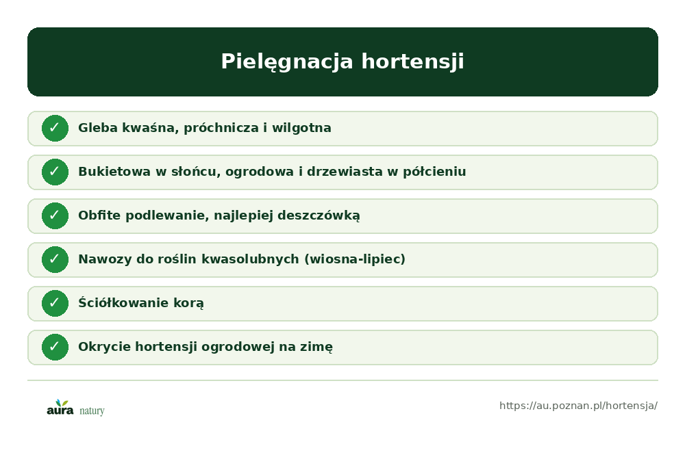 Zasady pielęgnacji: gleba kwaśna, stanowisko, podlewanie deszczówką, nawożenie, ściółkowanie, okrycie na zimę - infografika Aura Natury