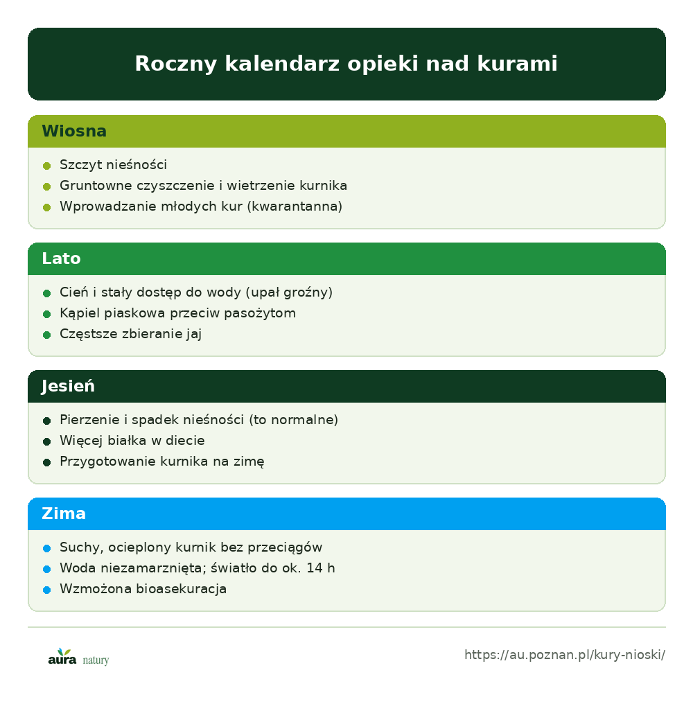 Roczny kalendarz opieki nad kurami nioskami: wiosna, lato, jesień, zima - infografika Aura Natury