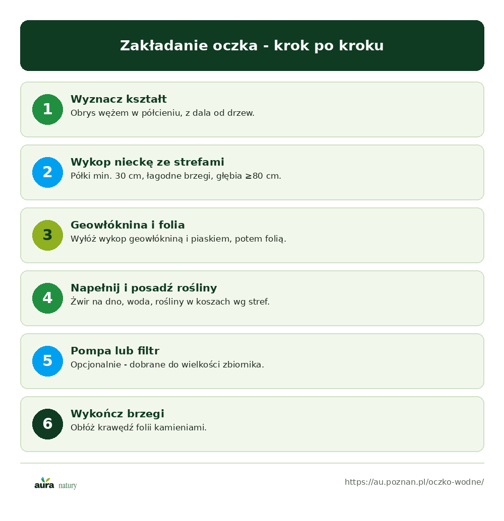 Zakładanie oczka wodnego krok po kroku: obrys, wykop ze strefami, geowłóknina i folia, napełnienie i rośliny, pompa, wykończenie brzegów - infografika Aura Natury