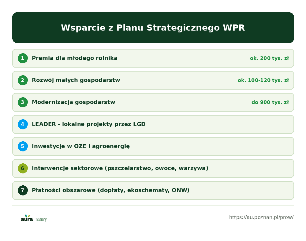 Wsparcie z Planu Strategicznego WPR: premia dla młodego rolnika, rozwój małych gospodarstw, modernizacja gospodarstw, LEADER, inwestycje w OZE, płatności obszarowe - infografika Aura Natury