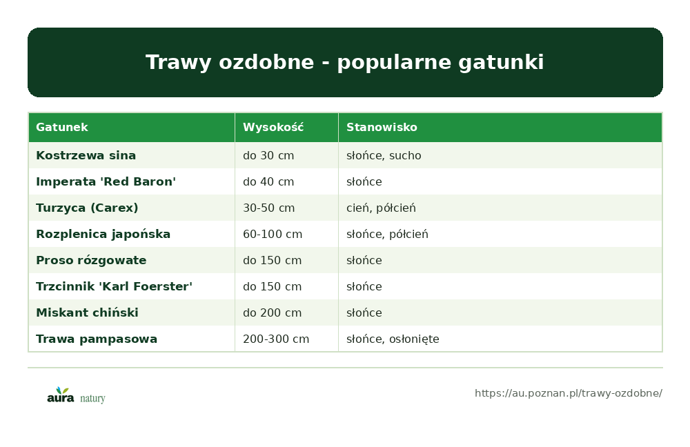 Trawy ozdobne - popularne gatunki z wysokością i stanowiskiem: kostrzewa sina, imperata, turzyca, rozplenica, proso rózgowate, trzcinnik, miskant, trawa pampasowa - infografika Aura Natury