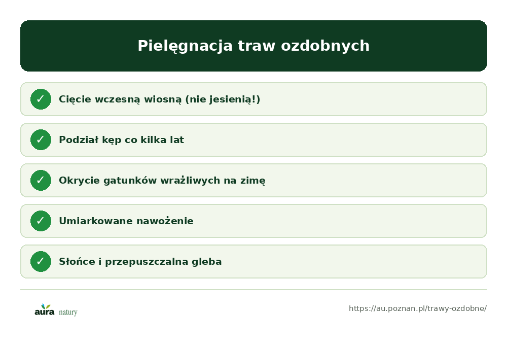 Pielęgnacja traw ozdobnych: cięcie wczesną wiosną, nie jesienią, podział kęp co kilka lat, okrycie wrażliwych na zimę, umiarkowane nawożenie - infografika Aura Natury