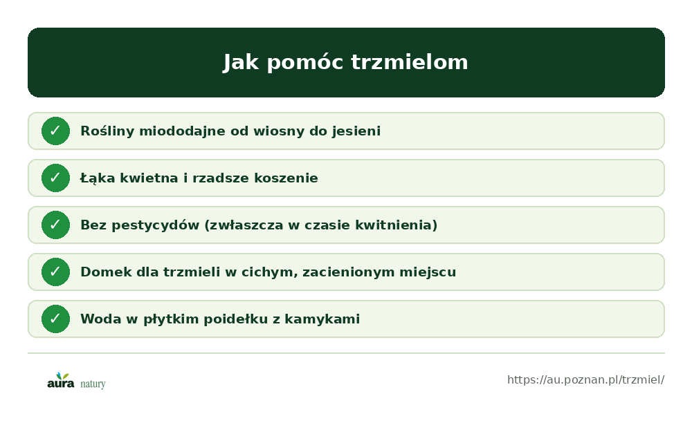 Jak pomóc trzmielom w ogrodzie: rośliny miododajne od wiosny do jesieni, łąka kwietna i rzadsze koszenie, bez pestycydów, domek dla trzmieli, woda - infografika Aura Natury